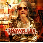 cover: Shawn Lee - Psychedelic Percussion