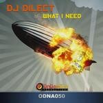 cover: Dj Dilect - What I Need