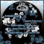 cover: Antek & Feygin - Distant Memory