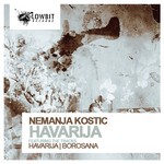 cover: Nemanja Kostic - Havarija