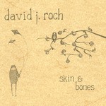 cover: David J Roch - Skin & Bones