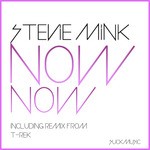 cover: Stevie Mink - Now Now