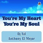 cover: Dj Nil & Anthony El Mejor - You're My Heart You're My Soul