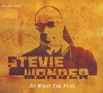 cover: Stevie Wonder - So What The Fuss