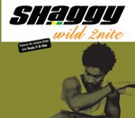 cover: Shaggy - Wild 2nite