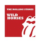 cover: The Rolling Stones - Wild Horses