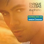 cover: Sunidhi Chauhan|Enrique Iglesias - Heartbeat