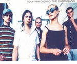 cover: The Cardigans - Your New Cuckoo