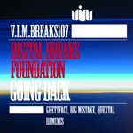 cover: Digital Breaks Foundation - Going Back