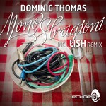 cover: Dominic Thomas - MonoStragioni