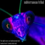 cover: Fidel - Subterranean Tribal