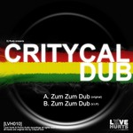 cover: Critycal Dub - Zum Zum Dub