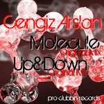 cover: Cengiz Arslan - Molecule