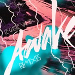 cover: Le Castle Vania - Awake, Remixes