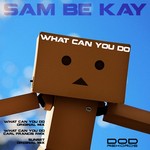 cover: Sam Be Kay - What Can You Do