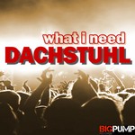 cover: Dachstuhl - What I Need