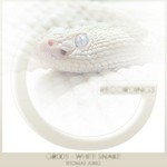 cover: Thomas Jung - White Snake