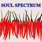 cover: Beatconductor - Soul Spectrum