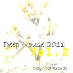 cover: Various - Deep House 2011 Vol 2