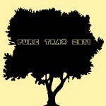 cover: Various - Pure Trax 2011