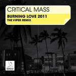 cover: Critical Mass - Burnin Love 2011 (The Viper Remix)