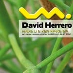 cover: David Herrero - Have You Ever Wake EP