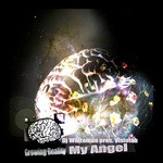 cover: Dj Whiteman Pres Visiolab - My Angel