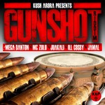 cover: Kush Arora - Gunshot Riddim