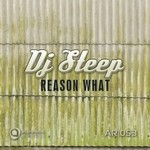 cover: Dj Steep - Reason What