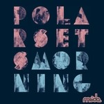 cover: Polarsets - Morning (Ardalan remixes)