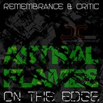 cover: Remembrance|Critic - Astral Flames EP