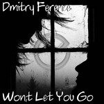 cover: Dmitry Ference - Won't Let You Go