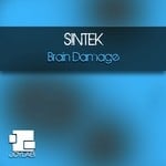 cover: Sintek - Brain Damage