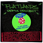 cover: Various - Flatlands Remix Project