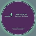 cover: Asher Perkins - Hammers On Trees