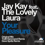 cover: Kay, Jay|Jay Kay Feat The Lovely Laura - Your Pleasure