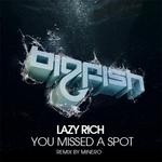 cover: Lazy Rich - You Missed A Spot