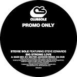 cover: Sole, Stevie|Steve Edwards - Big Strong Love