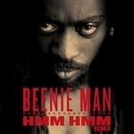 cover: Beenie Man - Hmm Hmm (Remix)