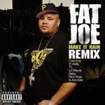 cover: Fat Joe - Make It Rain (Remix)