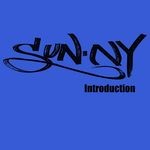 cover: Sunn.y - Introduction