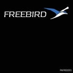 cover: Freebird - Riding The Starlight