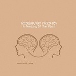 cover: Acidburp & Rat Faced Boy - A Meeting Of The Mind