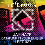 cover: Jay Haze - Datafunk In Your Ears EP