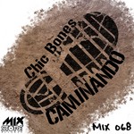 cover: Chic Bones - Caminando