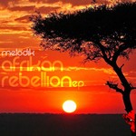 cover: Melodik - Afrikan Rebellion EP