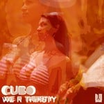 cover: Cubo - We Are Thirsty