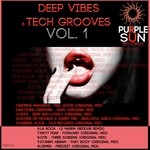 cover: Various - Deep Vibes & Tech Grooves Vol 1 (unmixed tracks)