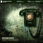 cover: Daniel Brooks - Whats Your Number