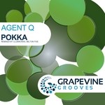 cover: Agent Q - Pokka